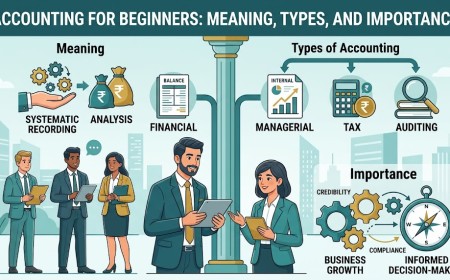 Accounting for Beginners: Meaning, Types and Importance